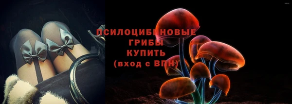 PSILOCYBIN Гусь-Хрустальный